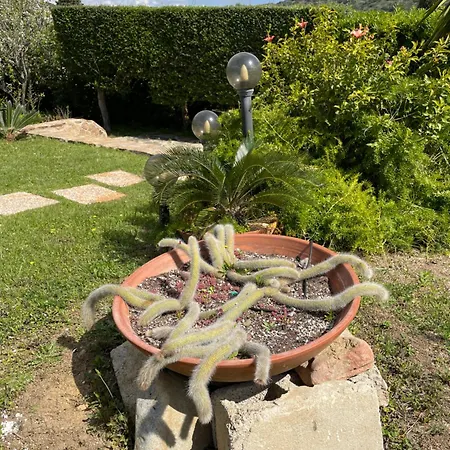 Domus Bianca - Holiday home *