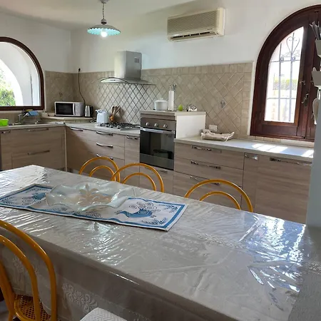 Domus Bianca - *
